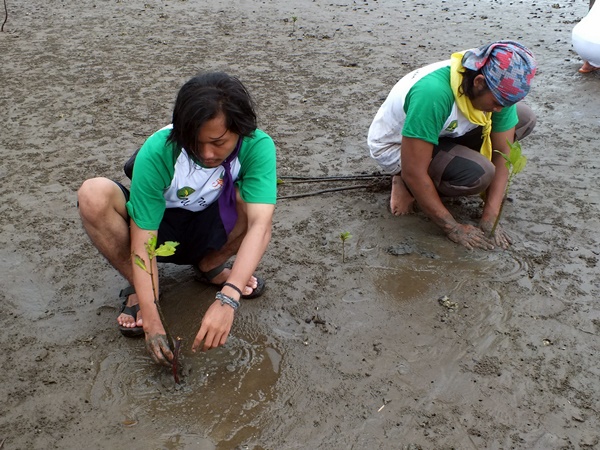 Hidayat (kiri), Ketua Umum Lingkung Seni Mahasiswa,  dan Panitia Penanaman Abdul Azis (kanan) melakukan penanaman mangrove bersama. (Egi Budiana/JUMPAONLINE)